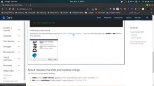 تثبيت Dart على ويندوز و لينكس | Installation