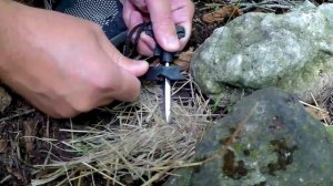 гим попсы на всегда