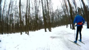 Лыжная тренировка на Волкуше