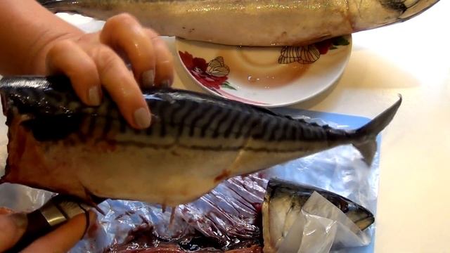 СКУМБРИЯ МАЛОСОЛЬНАЯ смотреть онлайн