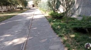 Конный влог с тренировки. Купила себе ботинки и краги