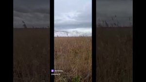 вездеход енот 69 миник