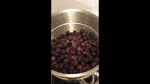 Как приготовить сироп из ежевики  Натуральный сок ежевики  Био, Эко, Steam how to make juice bio