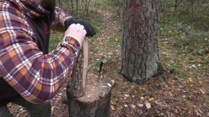 Нож VESPA Золотое Сечение. Уличный тест