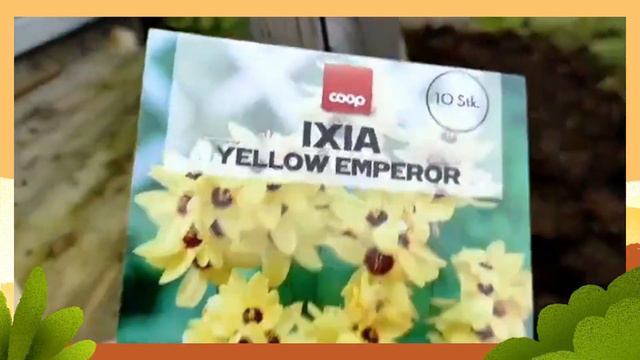 PLANTING BULBS in FALL 2021 смотреть онлайн