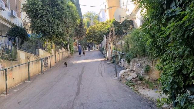 Экскурсии по Хайфе. Израиль. Улочки , которые вы не увидите смотреть онлайн