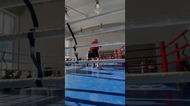 #бокс #шахбокс #тренерпобоксу ##клуббоксараунд #чемпион