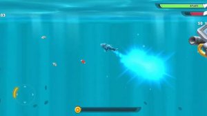 🔻 ХАНГРИ ШАРК ПОКАЗЫВАЮ ТОПОВЫХ АКУЛ