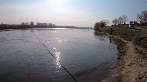 Ловля Жереха///Оснастка для ловли жереха///Джиг!!!