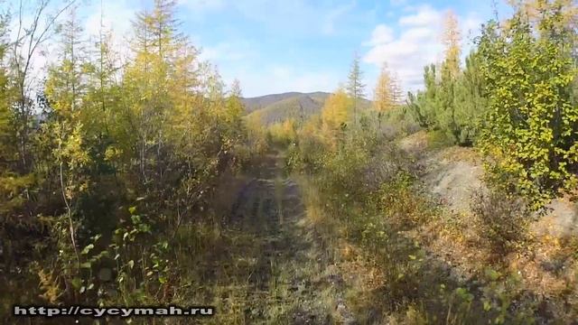 Сусуман-эндуро. Спуск на мотоциклах Yamaha Serow XT-225 с перевала по старому бульдозерному следу смотреть онлайн