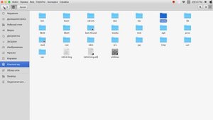 Основы программирования. Linux
