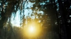 Сообщение перед свадьбой. Истории из жизни. Женские истории. Жизненные истории.