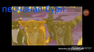 •пятнистая звезда•клип•коты воители•