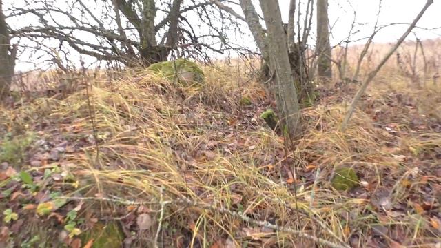 Поле возле Новоспасского леса. Бетонный блиндаж (262). Вход засыпан