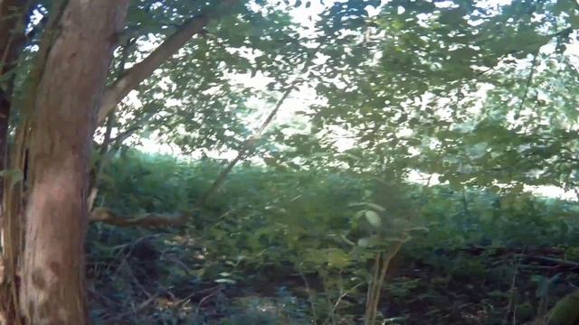 "Глухолетье" - сезон кладоискателя!!! смотреть онлайн