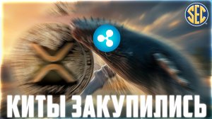 ИЛОН МАСК КУПИЛ XRP В 2013 ГОДУ НА САМОМ СТАРТЕ! ПОКА ТОЛПА НЕ ВЕРИТ RIPPLE КИТЫ ТАРЯТ! ПРОГНОЗ РИПЛ