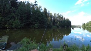 ЛОВЛЯ АМУРА НА КАМЫШ, НАШ ПЕРВЫЙ ОПЫТ.