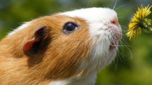 Интересные факты о мире вокруг нас