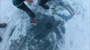 озеро ЧУДСКОЕ .д .ВЕТВЕНИК .зимняя рыбалка .часть-1