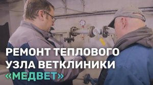 Ремонт теплового узла веткликники «Медвет»