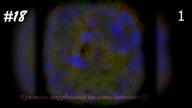 Невероятные фото, сделанные с помощью микроскопа №14 [Под микроскопом]