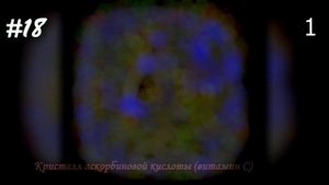 Невероятные фото, сделанные с помощью микроскопа №14 [Под микроскопом]