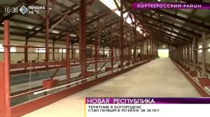 Современный телятник на 200 голов открыли в деревне Сюзяиб Корткеросского района. 9 сентября 2014