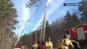 Быстро тушить лесной пожар тренировались в Сестрорецке