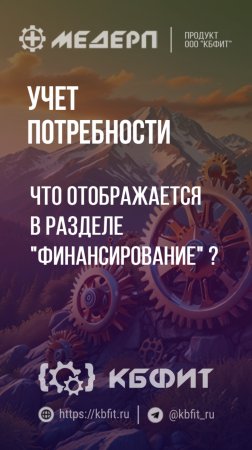 КБФИТ: МЕДЕРП. Учет потребности: Что отображается в разделе "Финансирование " ?