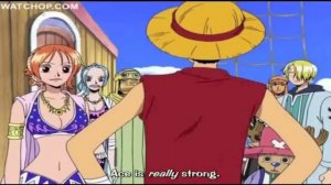 Ace Meets Luffy Crew