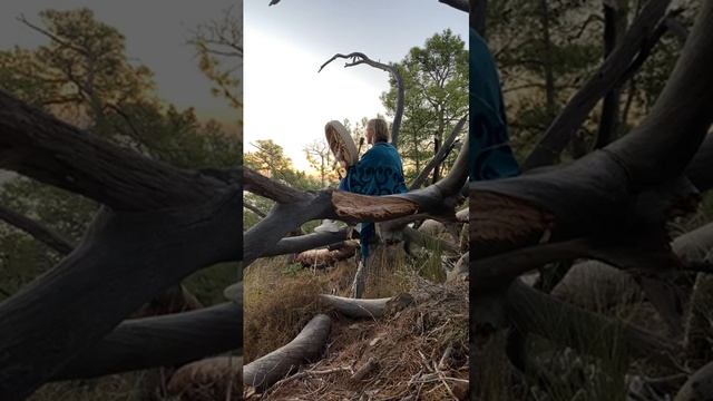 Практики с шаманским бубном. Камлание на рассвете.