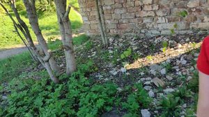 Пудость. Вот и мельница Штакеншнейдера. 21 мая 2023г.