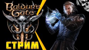 Расслабленно побродить, пиная кубик ? Baldur's Gate 3