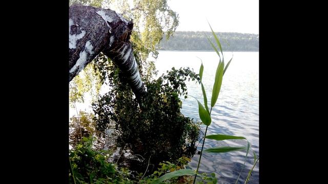 А Пушкин Медный всадник Часть вторая #поэты19века смотреть онлайн