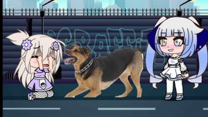 Она плавает в формалине °meme Gacha life°