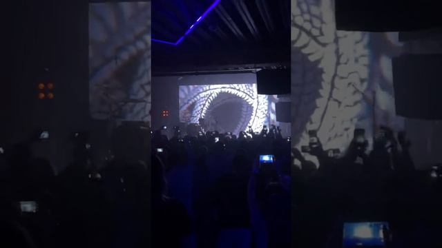 Louna в Новосибирске смотреть онлайн