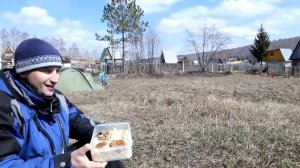 Живая изгородь из боярышника