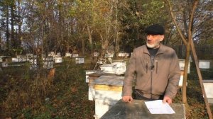 ГИБЕЛЬ ПЧЁЛ ОСЕНЬЮ в чём причина и как не допустить..