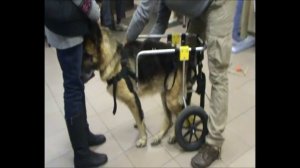 Вам в помощь. Замеры. Эксплуатация. Руна.