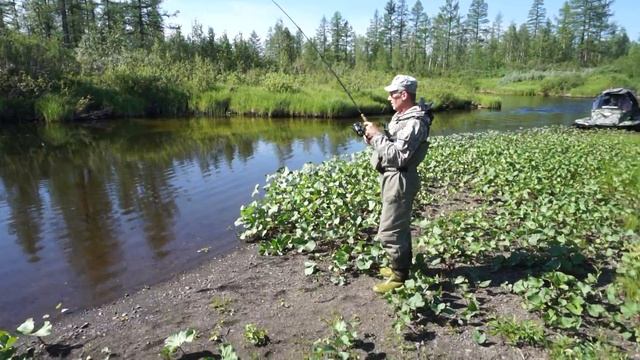 Огромный таймень рвет плетенку смотреть онлайн