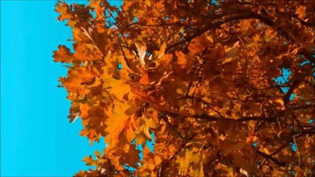 Лицей - Осень, осень. смотреть онлайн