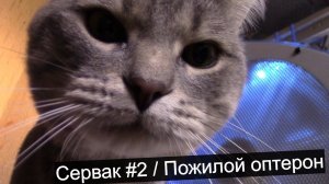 2х процессорный AMD / Часть #2 / Тестируем пожилую немощь