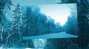 Волшебный зимний лес  ( красота природы )