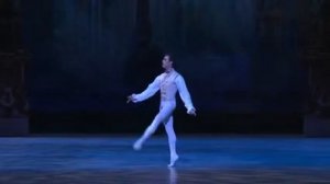 Prince Desire solo_Mathias Heymann_Rudolf Nureyev