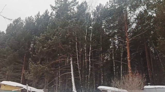 #жизньзагородом #жизньпослеразвода ❄️НАЧАЛА ДРУГУЮ ЧАСТЬ...СЛЕДУЮЩУЮ 😉 СВОЕЙ ЖИЗНИ 💕