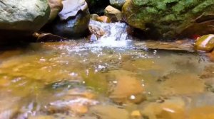 3 часа - Успокаивающий звук ручья. Лесной ручей, Звуки природы. Шум воды. Горный ручей. Релакс