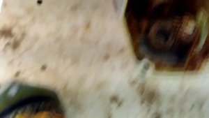 ➡️~Что делать если у болгарки не естественные звуки?~Что делать, если болгарка издаё противный звук