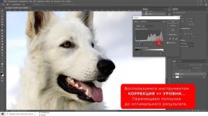 Как сделать белое белым в Фотошопе