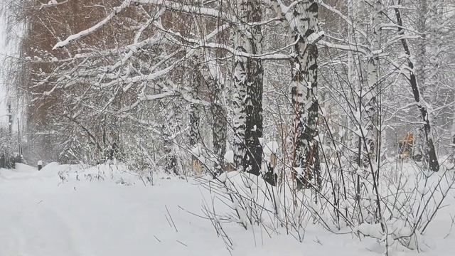 ⛔НЕ МОЖЕМ ПОПАСТЬ НА ДАЧУ⛔ПЕЧЬ в БАНЕ обложили КИРПИЧОМ?УТЕПЛИЛИ ПОТОЛОК И СТЕНЫ?УКЛАДКА КАМНЯ?