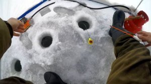 ПЕРВЫЙ ЛЁД на РЕКЕ пропустил,но РЫБА то КЛЮЁТ как БЕШЕНАЯ.ЛОВЛЯ ЕЛЬЦА